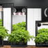 The Ultimate Grow Box Kit: A Complete Guide for Indoor Gardening Success